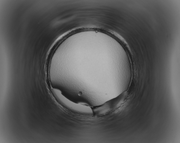 X0000082960935200703020209