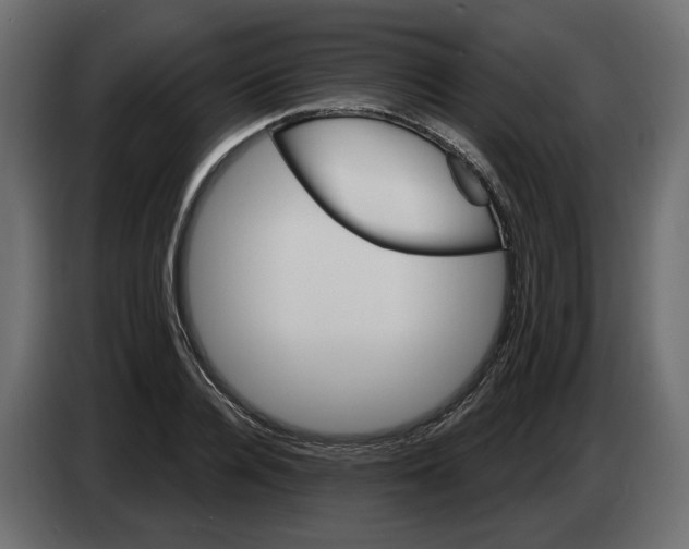 X0000082960936200703020209