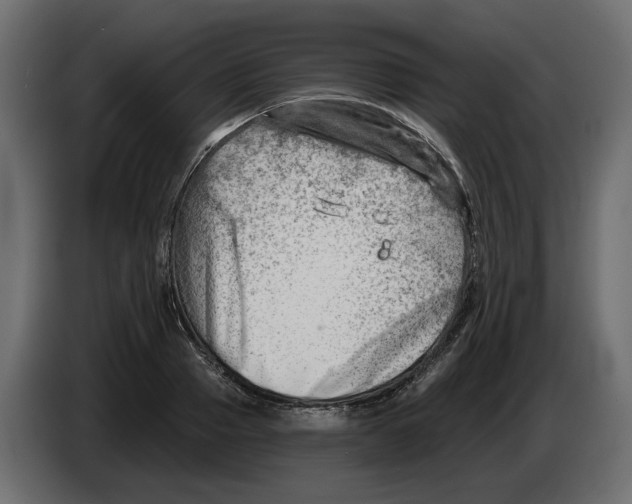 X0000082960937200703020209