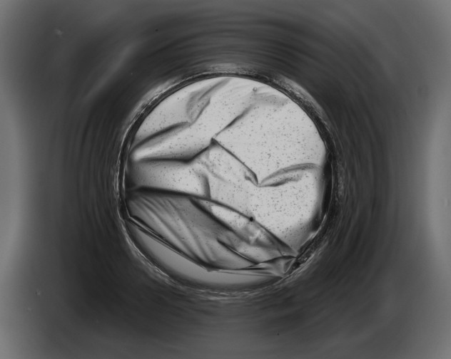 X0000082960938200703020209