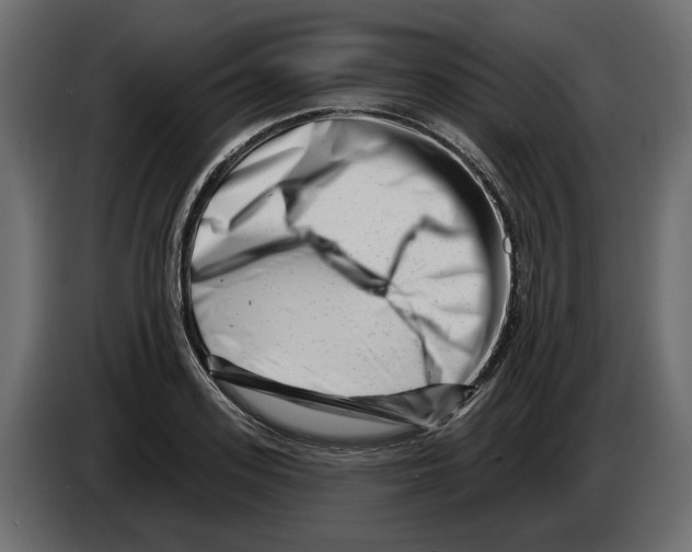 X0000082960939200703020209