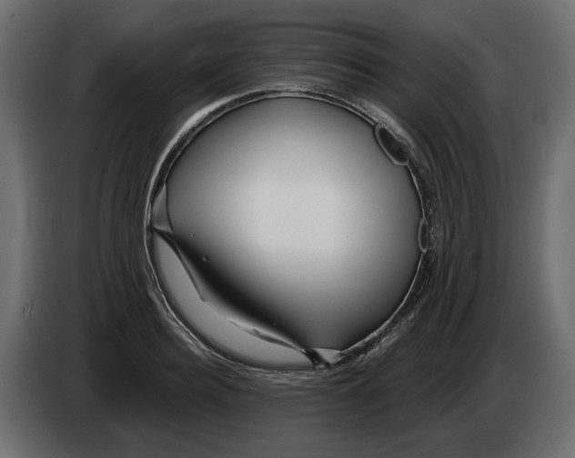 X0000082960940200703020209