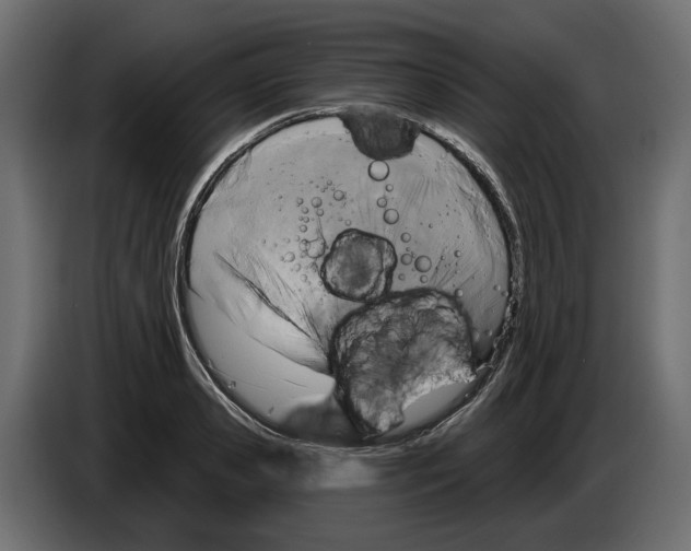 X0000082960941200703020209