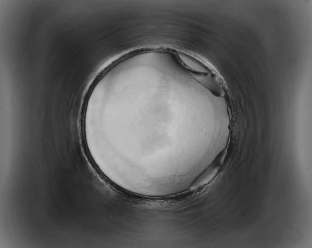 X0000082960943200703020209