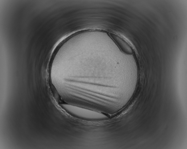 X0000082960944200703020209