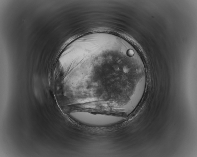 X0000082960945200703020209