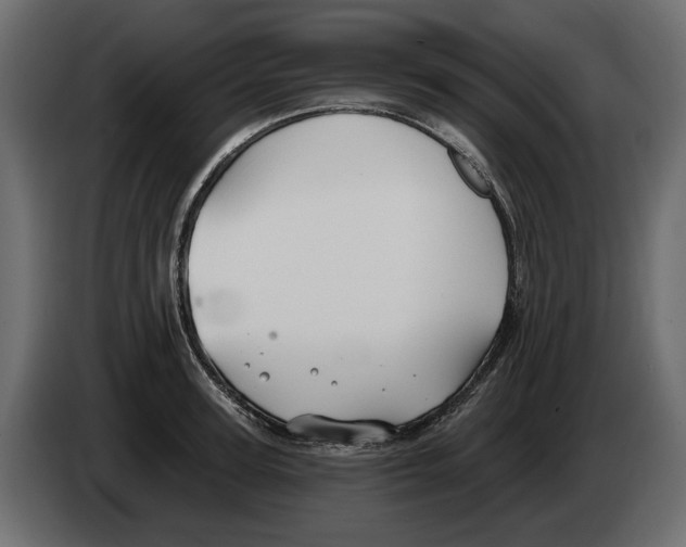 X0000082960947200703020209