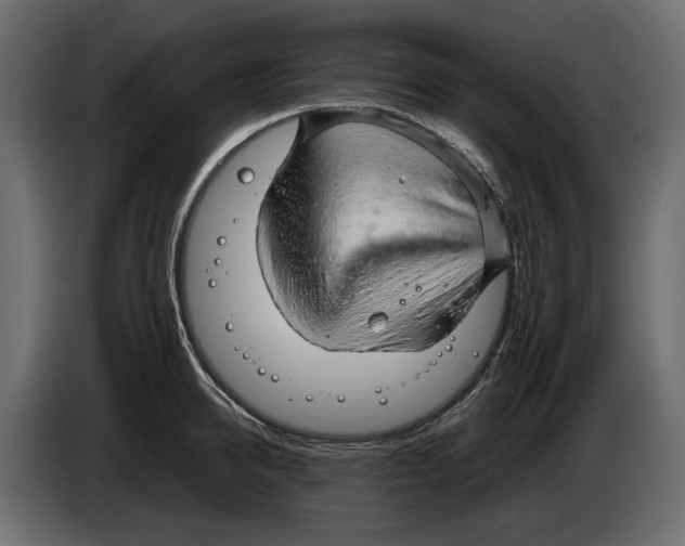 X0000082960950200703020209