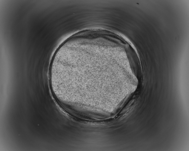 X0000082960951200703020209