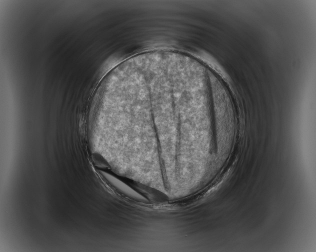 X0000082960953200703020209