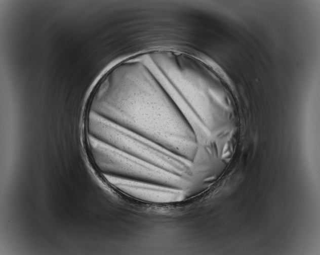 X0000082960955200703020209