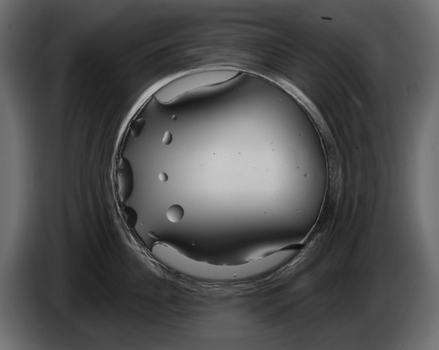 X0000082960956200703020209