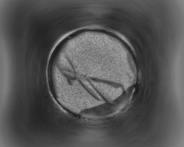 X0000082960959200703020209