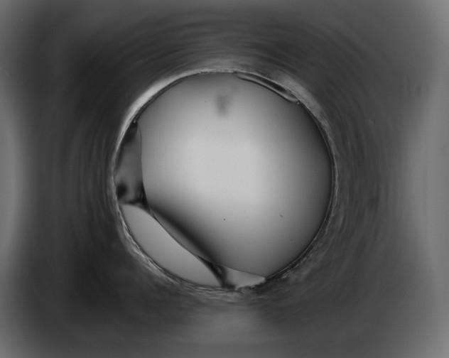 X0000082960960200703020209