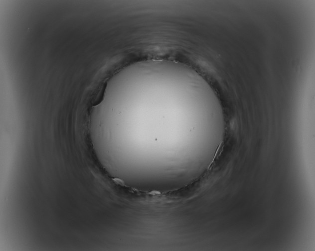 X0000082960961200703020209