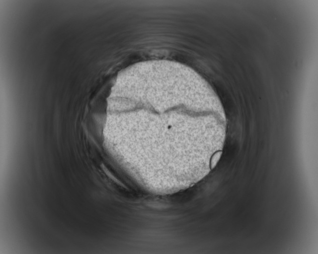 X0000082960962200703020209