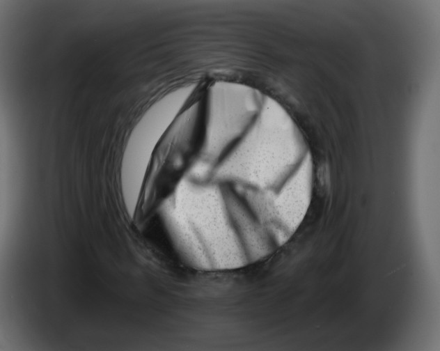 X0000082960963200703020209