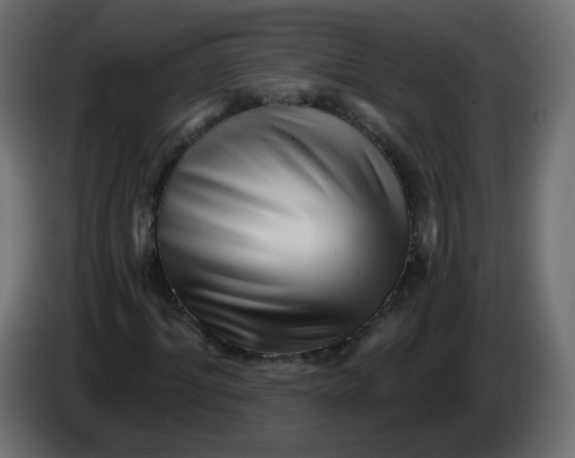 X0000082960964200703020209