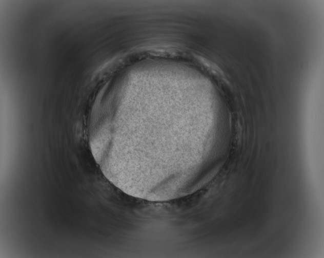 X0000082960966200703020209