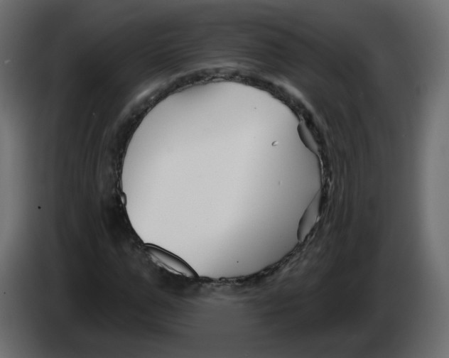 X0000082960967200703020209