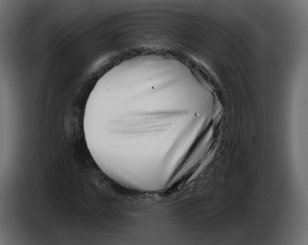 X0000082960968200703020209