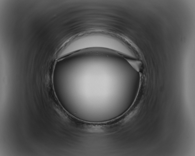 X0000082960969200703020209