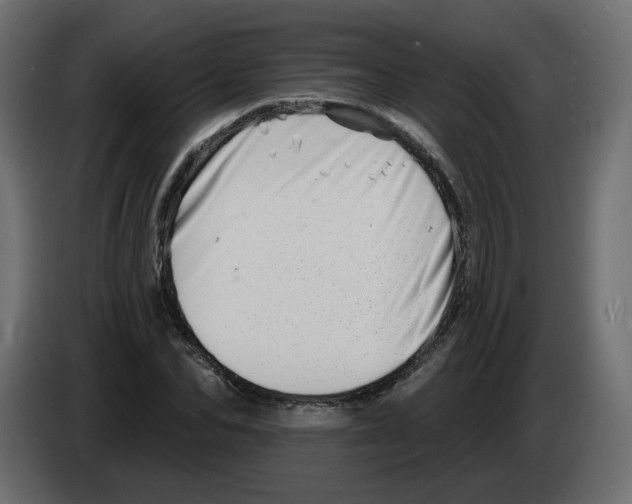 X0000082960974200703020209