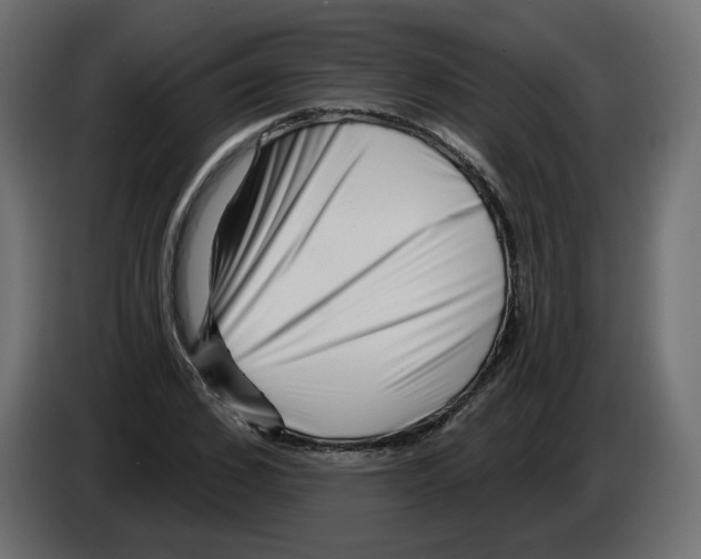 X0000082960976200703020209