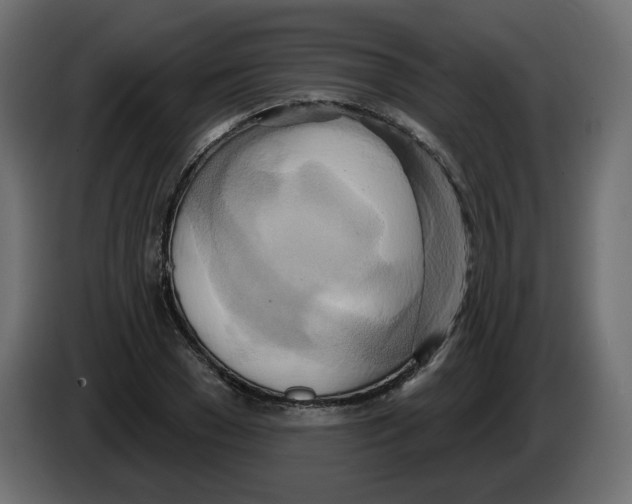 X0000082960977200703020209