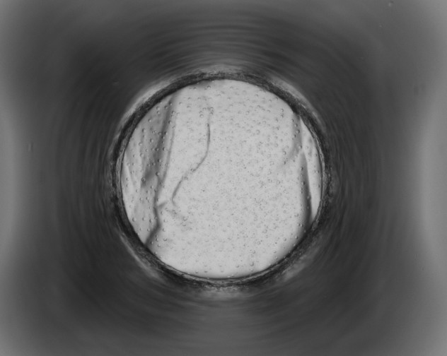 X0000082960978200703020208