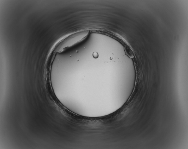 X0000082960979200703020208