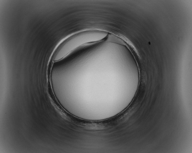 X0000082960980200703020208