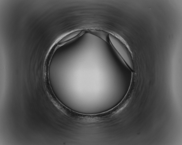 X0000082960981200703020208