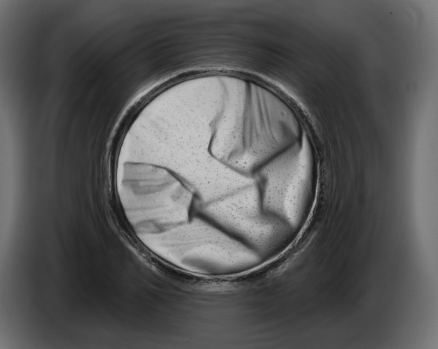 X0000082960982200703020208