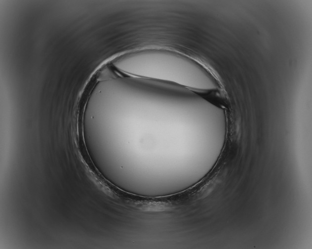 X0000082960984200703020208