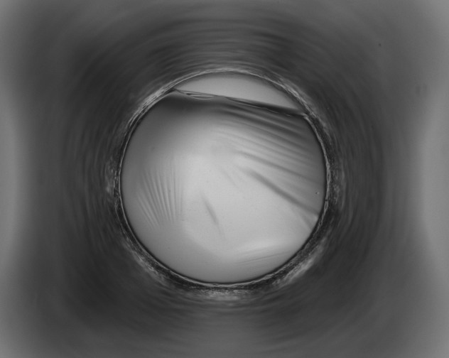 X0000082960985200703020208