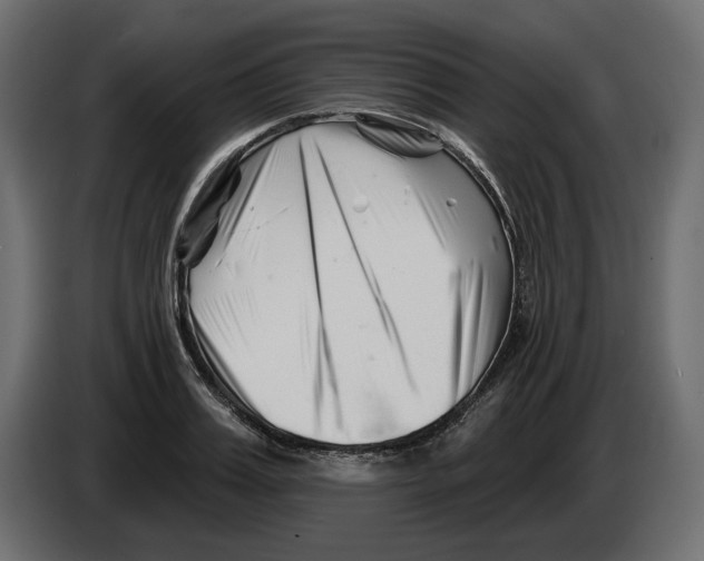 X0000082960987200703020208