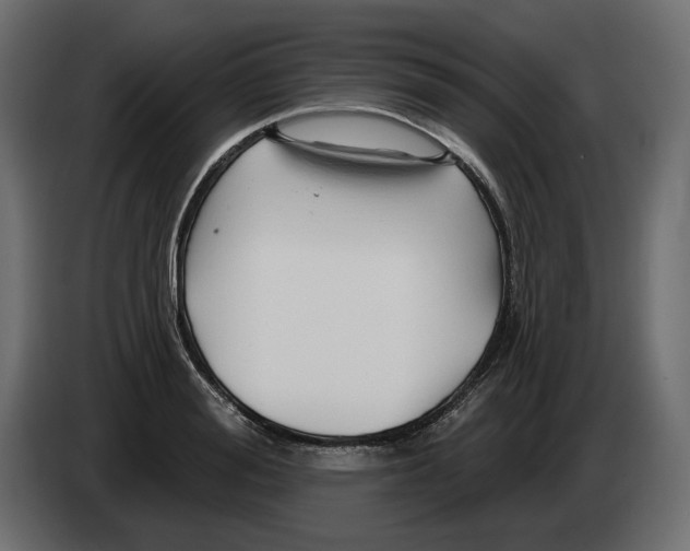 X0000082960988200703020208