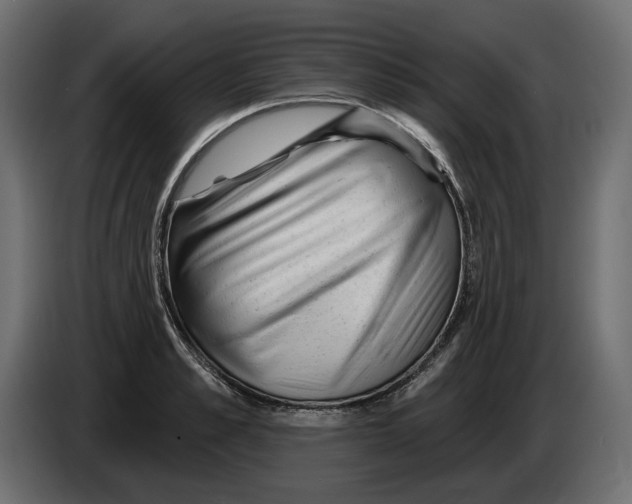 X0000082960989200703020208