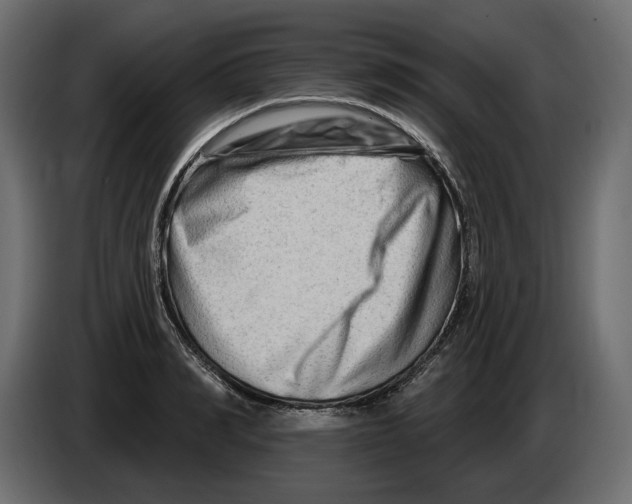 X0000082960990200703020208