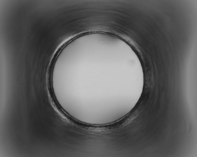 X0000082960991200703020208