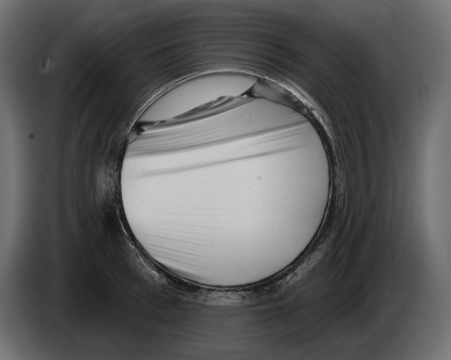 X0000082960993200703020208