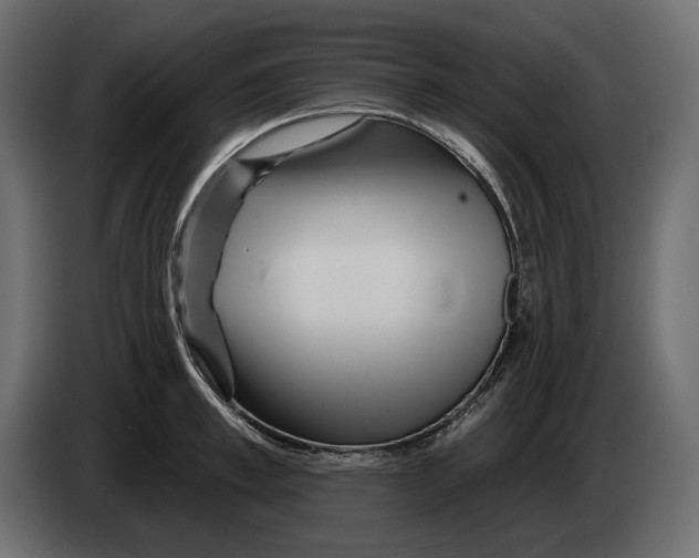 X0000082960997200703020208