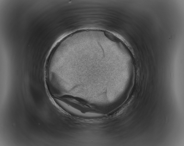 X0000082960998200703020208