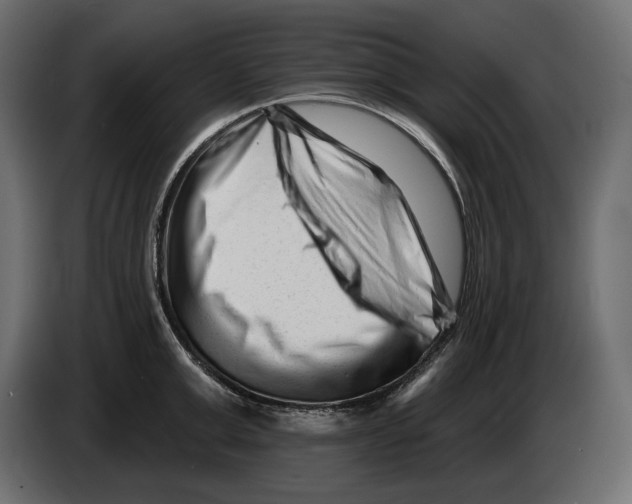 X0000082960999200703020208