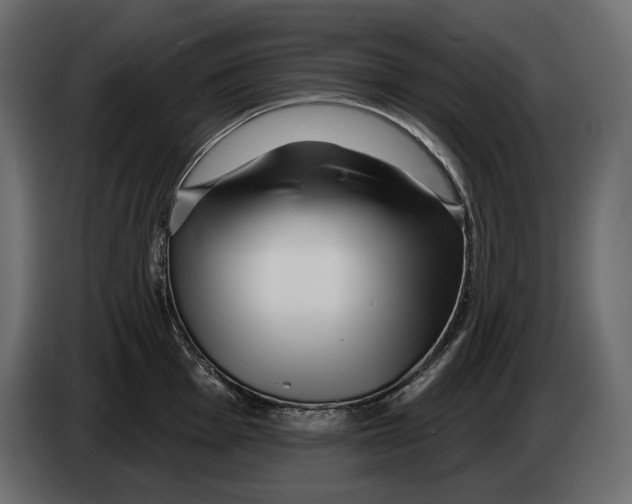 X0000082961001200703020208