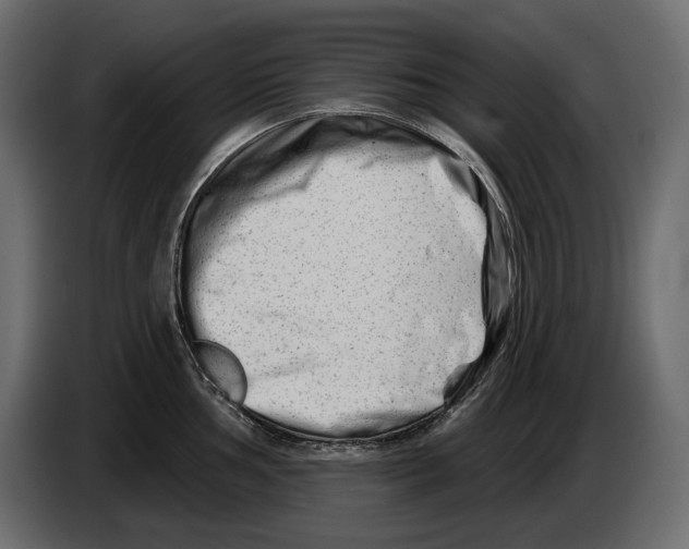 X0000082961002200703020208