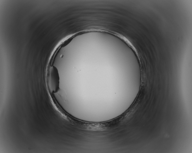 X0000082961003200703020208