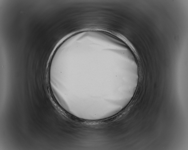 X0000082961004200703020208