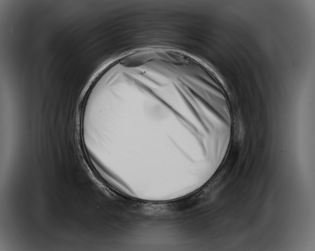 X0000082961006200703020208